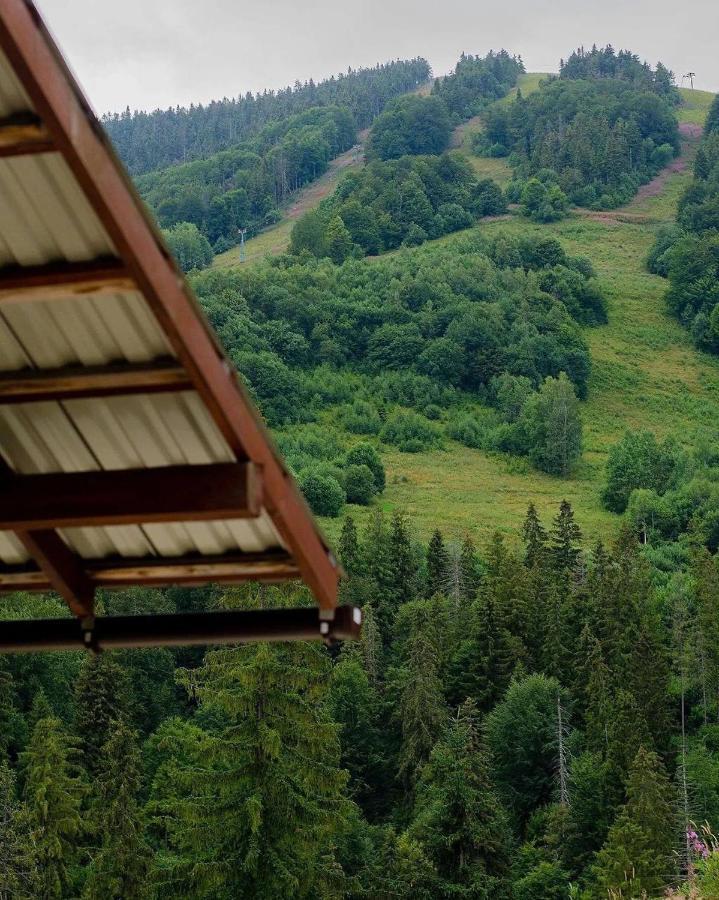 Деревянный коттедж Hillside Славское