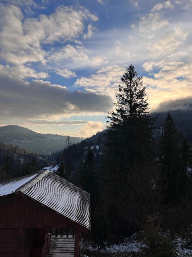 Hillside Деревянный коттедж Славское